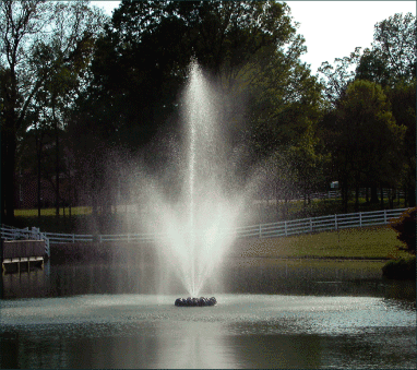 The Majestic Fountain